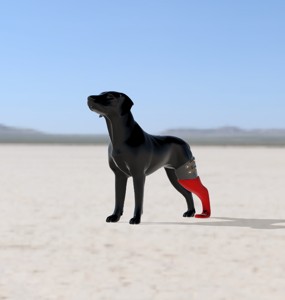 BIOMECHANICAL PROSTHESIS FOR DOG REAR LEFT LEG - BIOMECHANICAL PROSTHESIS FOR DOG REAR LEFT LEG