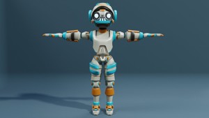 Humanoid Robot