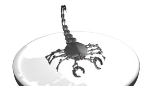 Scorpion Robot