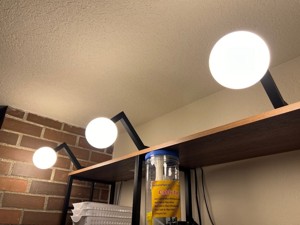Bookshelf Overhang Lamp