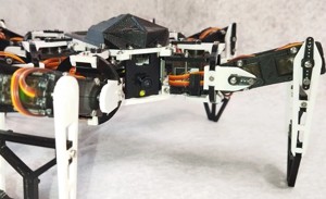 Roby Hexapod