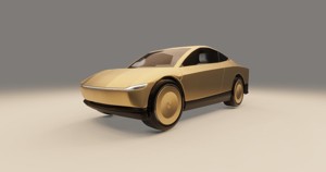 Tesla Robotaxi 2025