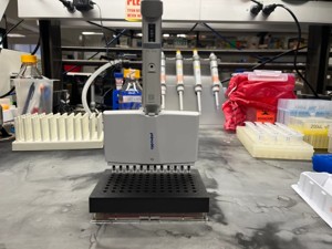 CFU Spot Plating Multichannel Guide