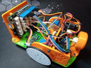 ROBOT TURTLE TO PRINT
