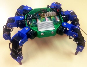 Kraby The Hexapod