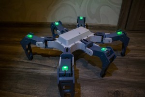 HEXAPOD_BETA
