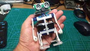 NanoWalker