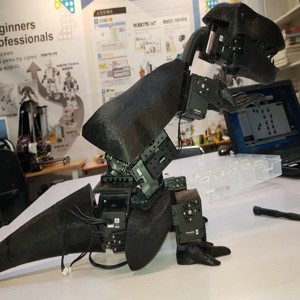 Tyrannosaurus Robot