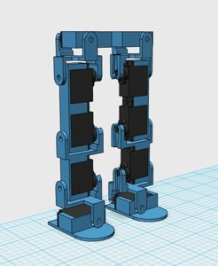 Biped Robot Legs