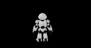 ROBOT MODEL