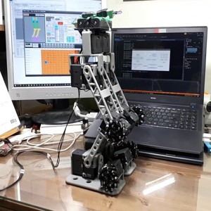 Bipedal robot with mecaum-wheels