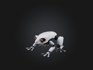 RoboFrog Model