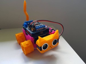 Bunny and Cat head for SMARS Robot