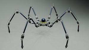 spider bot