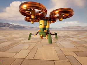 Maui Drone