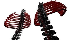 paXcyborG Ribs on backbon...