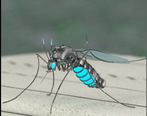 Mosquito Robot
