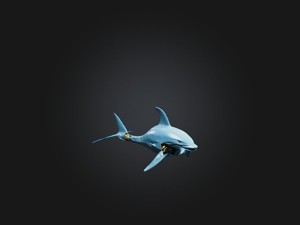RoboDolphin Model