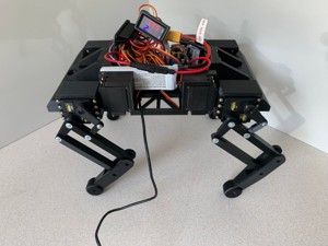 Robot dog