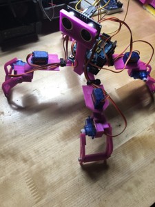 SPIDER ROBOT