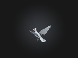 RoboBird Model