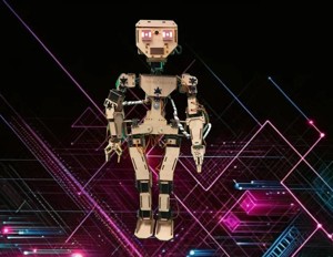 lIllI the Humanoid Robot