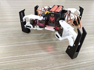 QuadPOD