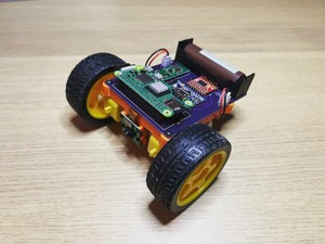 Sneaky. Simple WebRTC controlled bot.