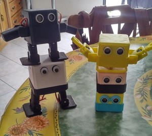 Otto Zero with ARMS ( NOVE )  - Robotics is fun!
