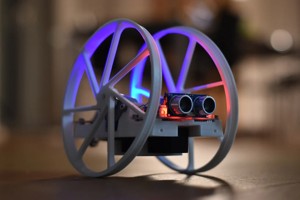 two wheel Robot