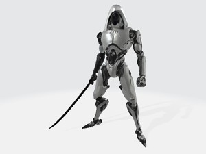 Fighter robot
