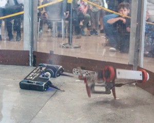 12 Pound Battlebot - Quee...