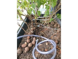 Automatic home plants watering system (under $10 bucks!) - Arduino Nano v1