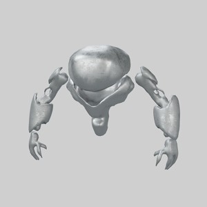 Cartoon Bot Character v1 002