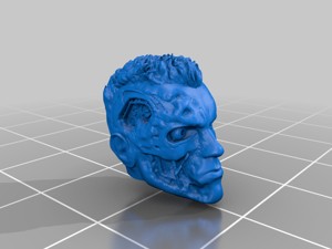 Terminator Damaged Head