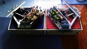 omnidirectional mobile ro...