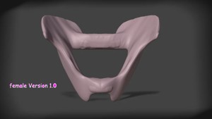 Android/Gynoid Pelvis v1.0 - by strohmains