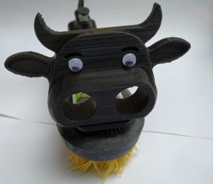 Robot brosse