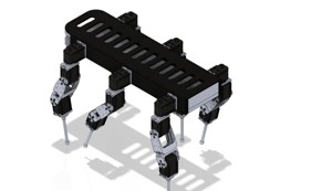 HexaPod Roboti