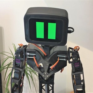 Aster Humanoid Robot