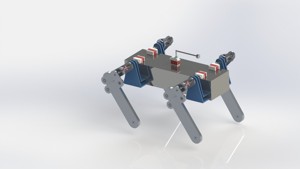 Quadruped Robot Dog