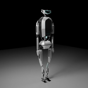 Robot biped