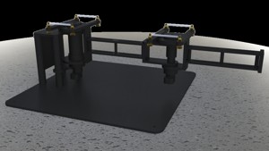 Quanser 2DSFJ