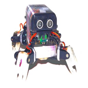 LoCoQuad