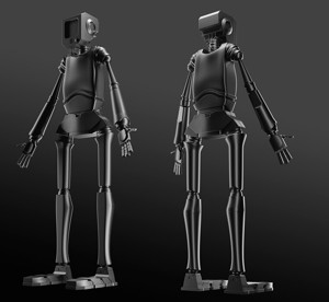 Stray Robot High Poly Low Poly model