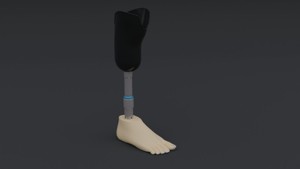 Transtibial Prosthetic Leg