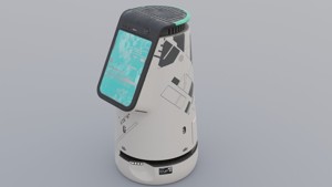 Service Robot