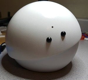 Pia the robot