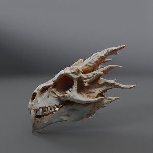 dragon skull