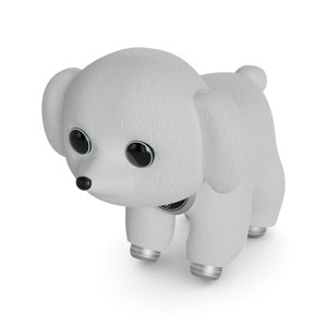 Robotic Toy